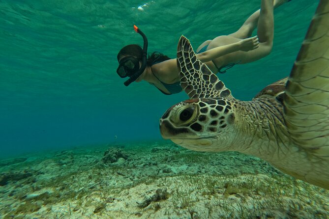 Public Snorkeling 3 Islands - Inclusions and Equipment