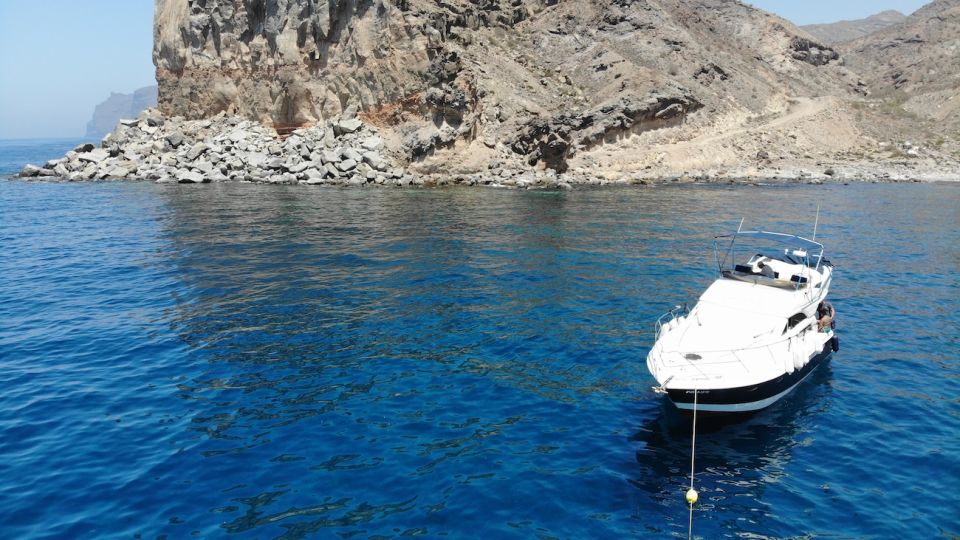 Puerto De Mogan: Dolphin Boat Trip - Experience Highlights