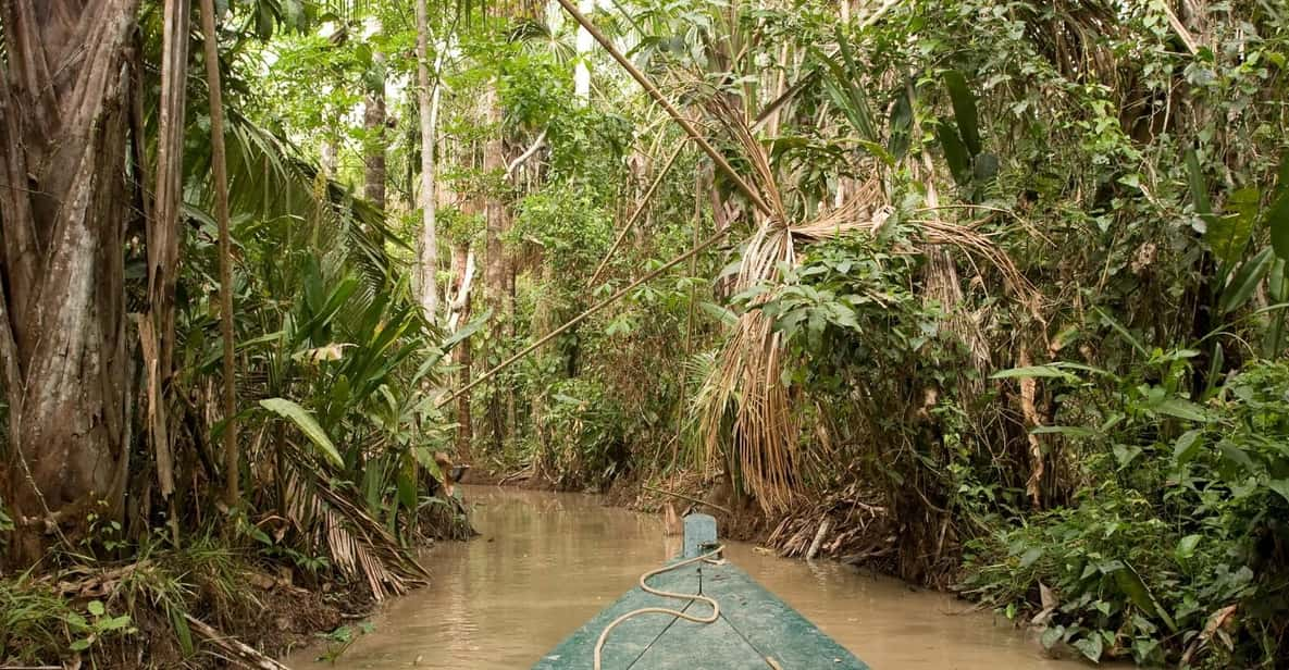 Puerto Maldonado: Macaw Clay Lick 4-Day Tour & Accommodation - Wildlife Encounters