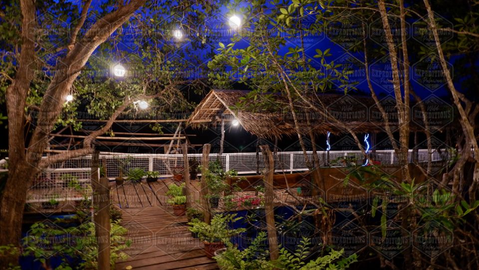 Puerto Princesa: Firefly Watching Paddle Boat Tour & Dinner - Pricing and Availability