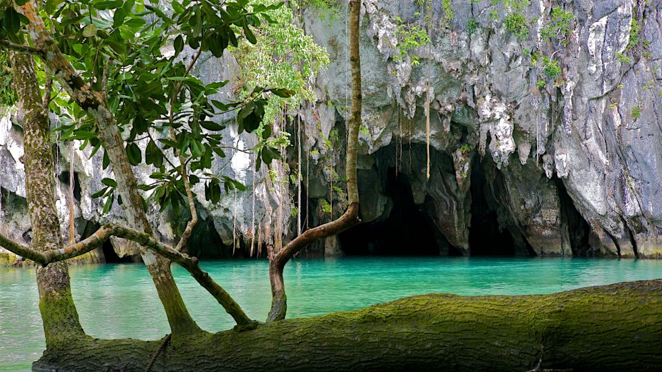 Puerto Princesa: Private Full-Day Tour To Underground River - Highlights of the Experience