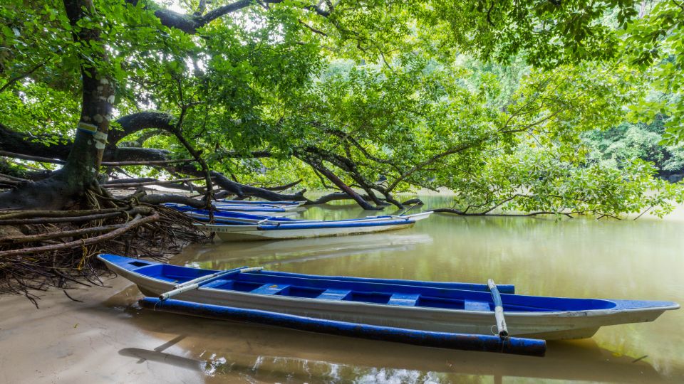 Puerto Princesa Underground River Tour in Palawan - Itinerary and Experience