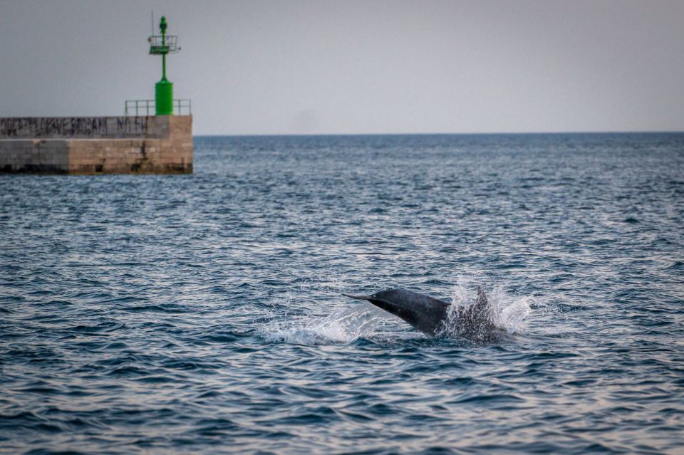 Pula: Brijuni National Park Sunset, Dolphins & Dinner Cruise - Good To Know