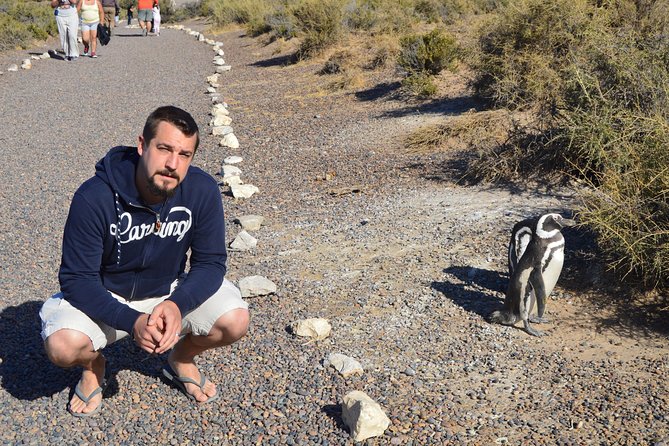 Punta Tombo Tour, the Penguin Experience - Patagonian Ecosystem Insights