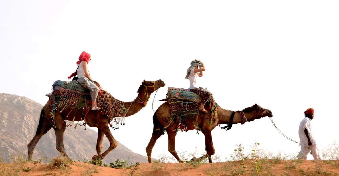 Pushkar Day Trip With Camel Safari From Jaipur by Car. - Itinerary Breakdown