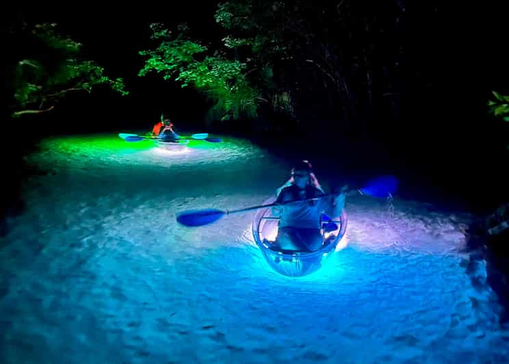 Rainbow Springs: Clear Kayak Sunset & Glow Tour - Experience Highlights