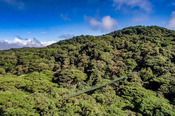 Rainforest Canopy Zipline & Hanging Bridges Tour From Monteverde - Safety and Accessibility