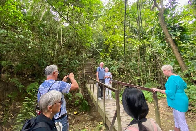 Rainforest Wildlife, Panama Hat Makers, Traditional Cuisine. SHORE TOUR - Itinerary and Activities