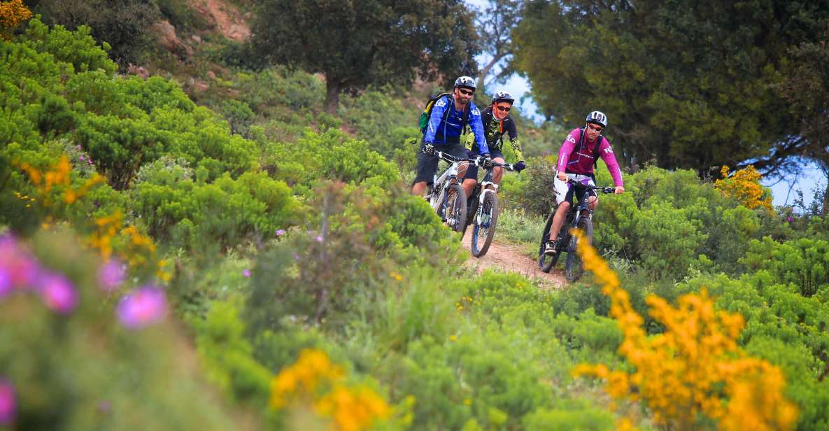 Ramatuelle: Tracks & Tasting Winery Tour by Mountain E-Bike - Experience Highlights