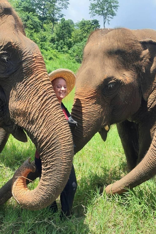 Rantong Elephant Sanctuary Chiangmai - Experience and Activities