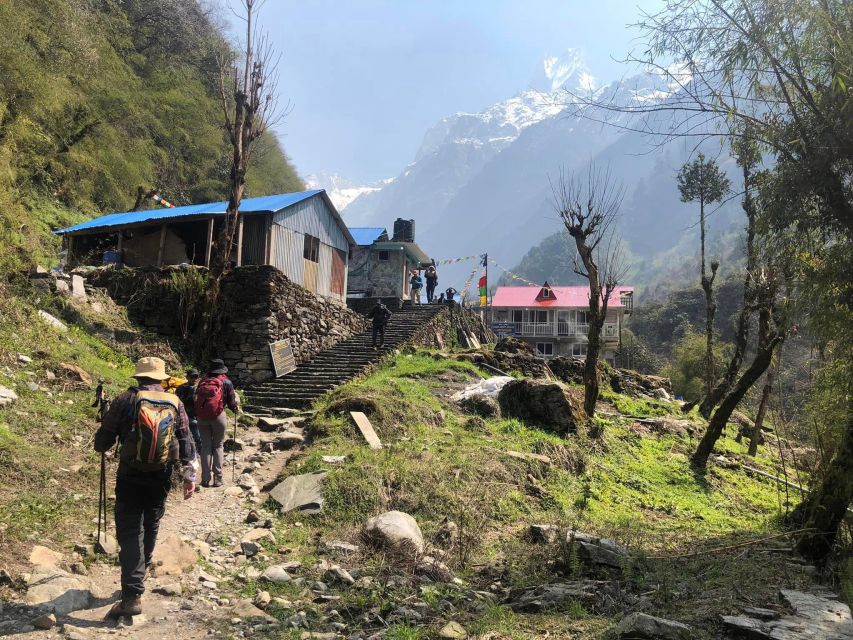 Rapid Annapurna Base Camp Trek - 9 Days - Detailed Itinerary