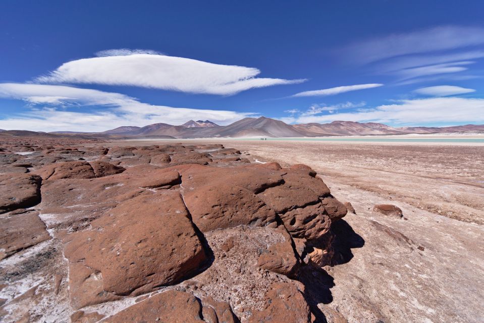 Red Stones, Altiplanic Lagoons & Salt Flat Full-Day Tour - Itinerary Highlights