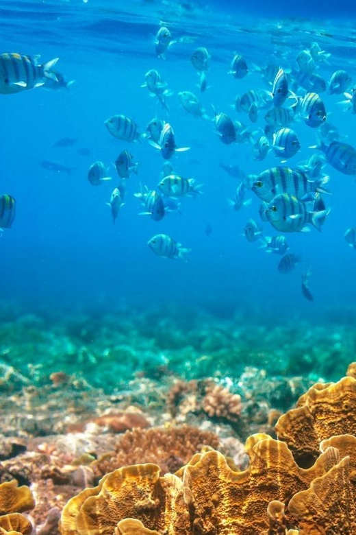 RedRiverTour-Discovery 3 Islets, Snorkeling &Fishing By Boat - Itinerary Highlights