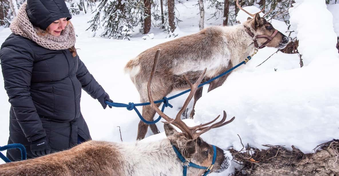 Reindeer and Heli Flightseeing Day Trip With Lunch - Itinerary and Experience