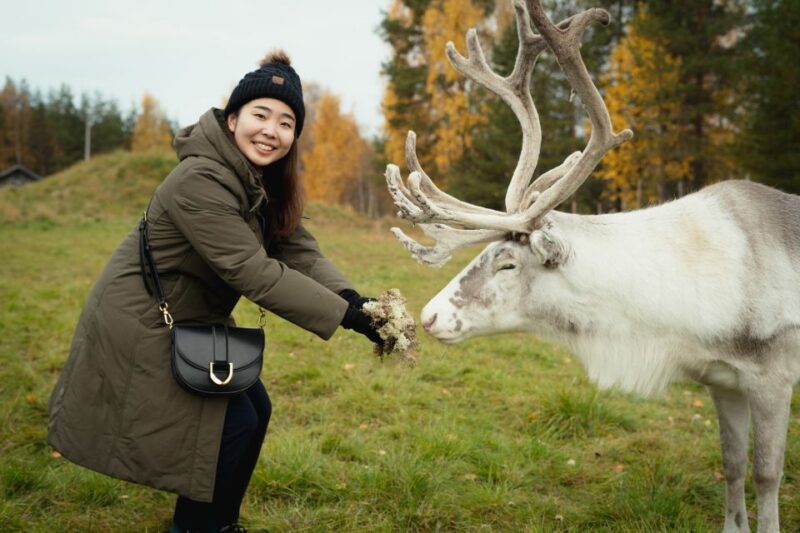 Reindeer Farm Visit With Professional Photographer - Pricing Details