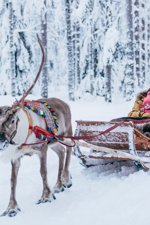 Reindeer Farm Visit With Sleigh Ride - Transportation Options
