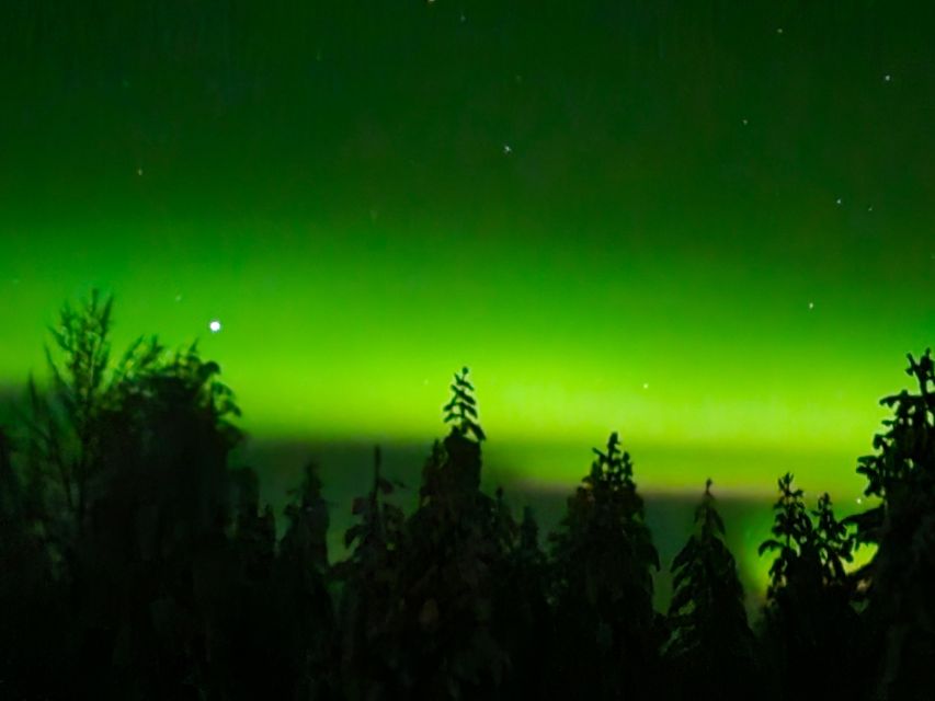 Remote Aurora Guiding in Finland - Pricing and Reservation Details