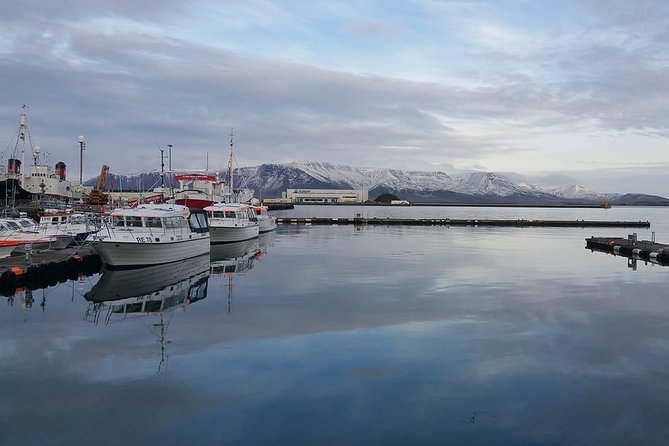 Reykjavik Main Sights and Hidden Spots: A Self-Guided Audio Walk - Exploring Reykjaviks Historic Old Town