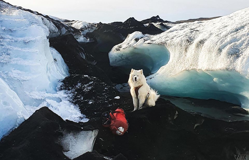 Reykjavik/Sólheimajökull: Glacier Hiking & Ice Climbing Trip - Itinerary Highlights