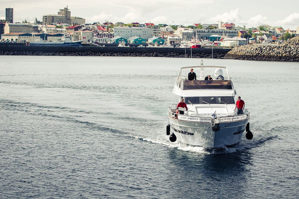 Reykjavik: Whale Watching and Dolphin Watching Yacht Cruise - Experience and Highlights