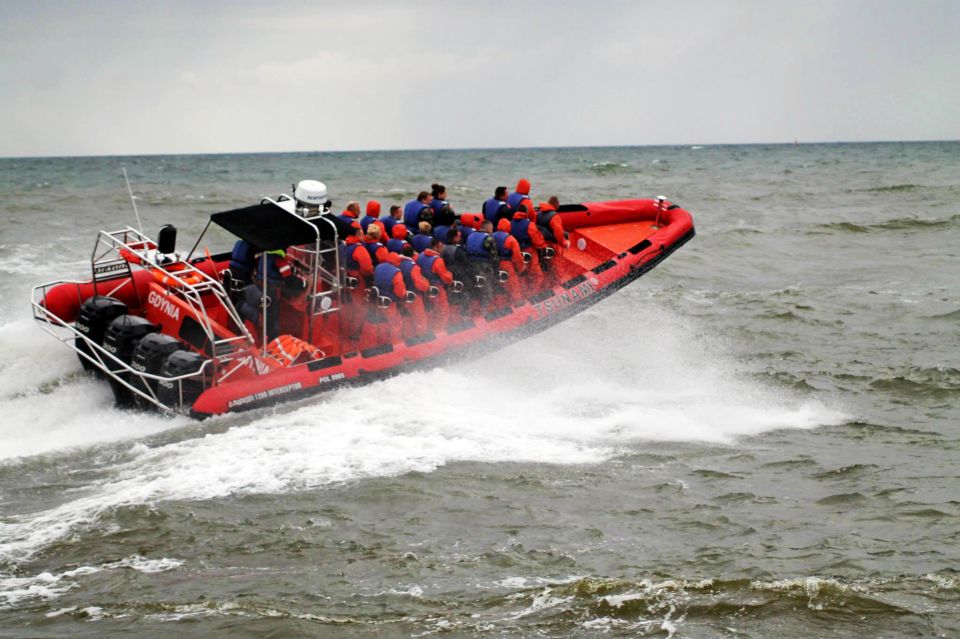 Reykjavik: Whale Watching by RIB Speedboat - Highlights of the Experience