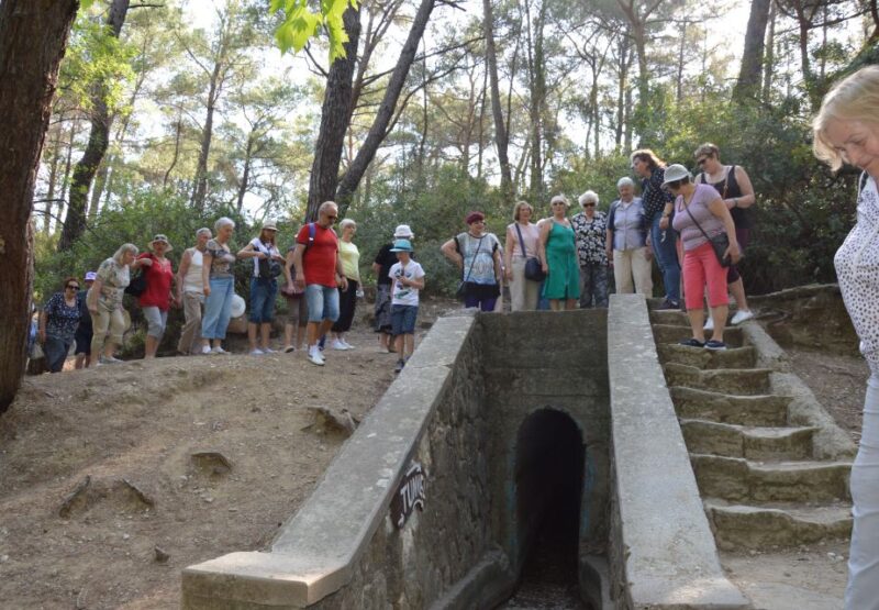Rhodes: Island Tour by Bus - Experience Highlights