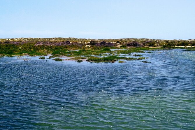 Ria Formosa Private 6 Hours Guided Tour in Classic Boat, Olhão. - Crew Expertise