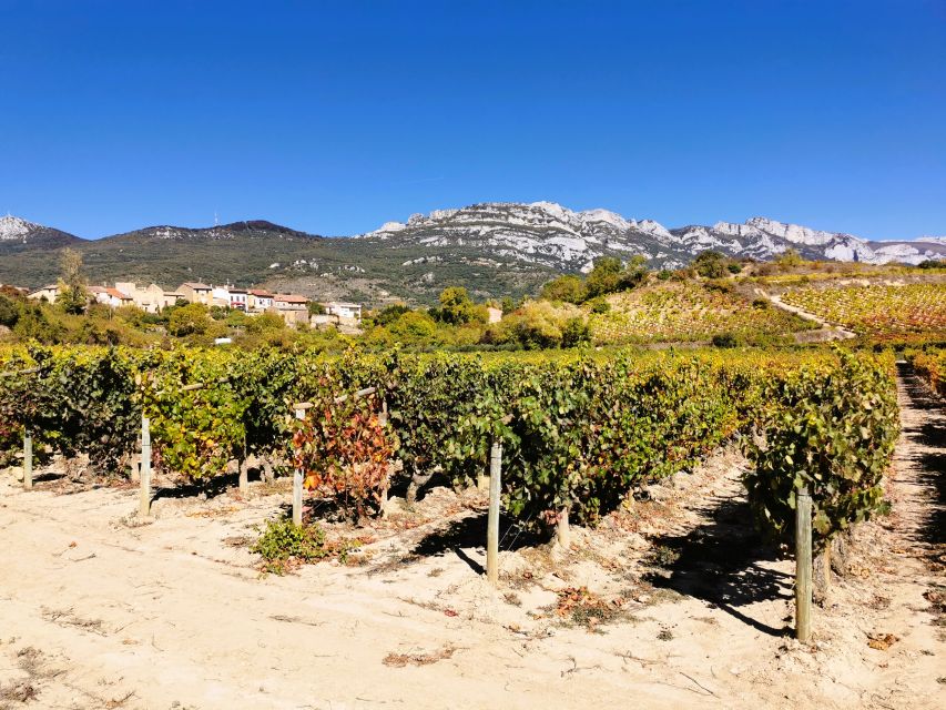 Ribera Del Duero Wine Region Private Tour - Itinerary Details