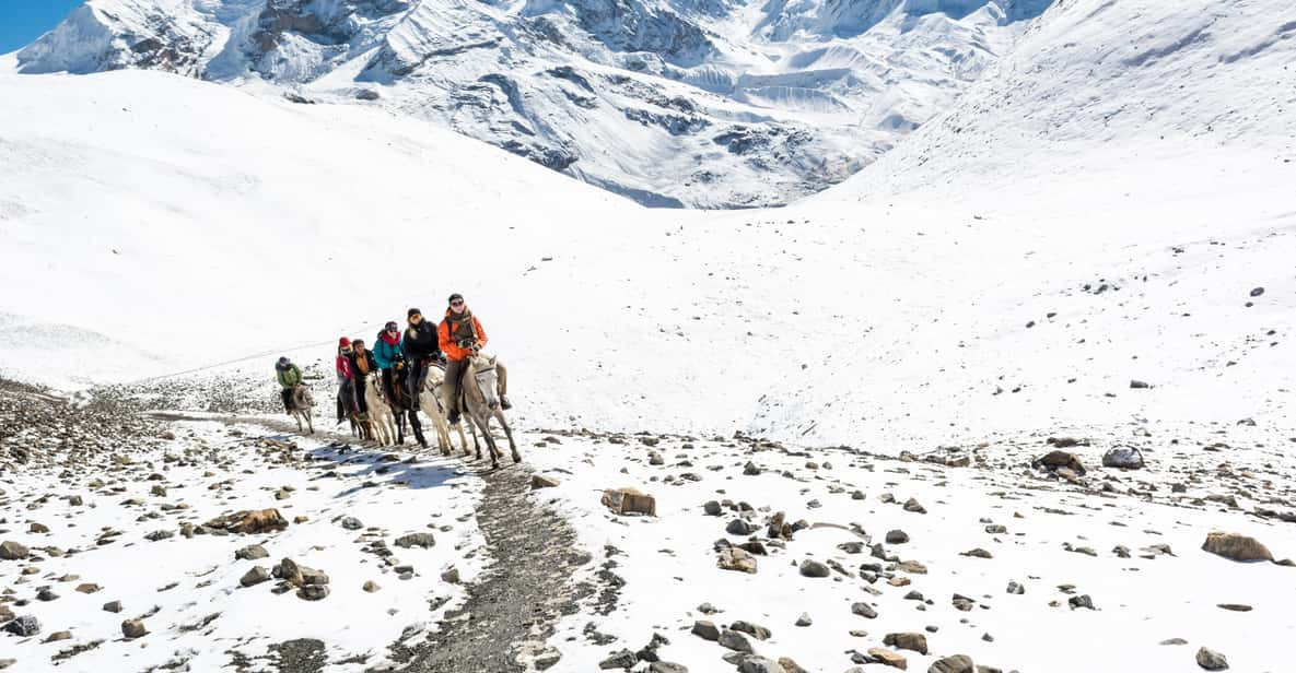 Ride Horse to Everest Base Camp - Trekking Experience