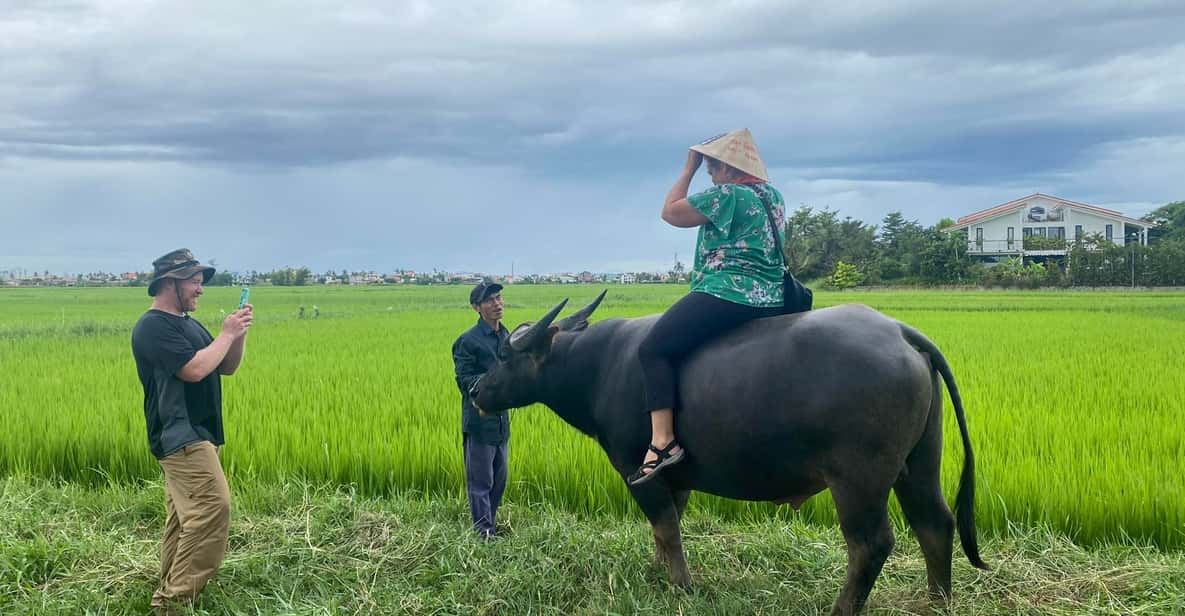 Riding Water Buffalo Hoi An Private Bike Tour - Tour Inclusions