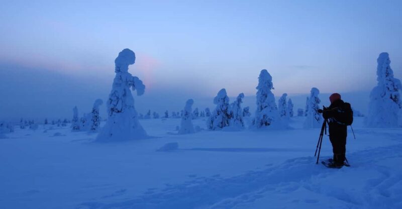 Riisitunturi National Park Private Snowshoe Experience - Unique Highlights