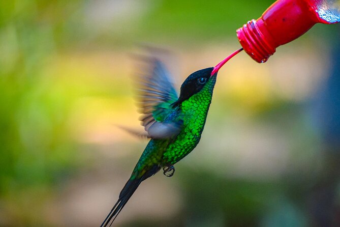 Rockland Bird Sanctuary Private Tour - Ideal Audience