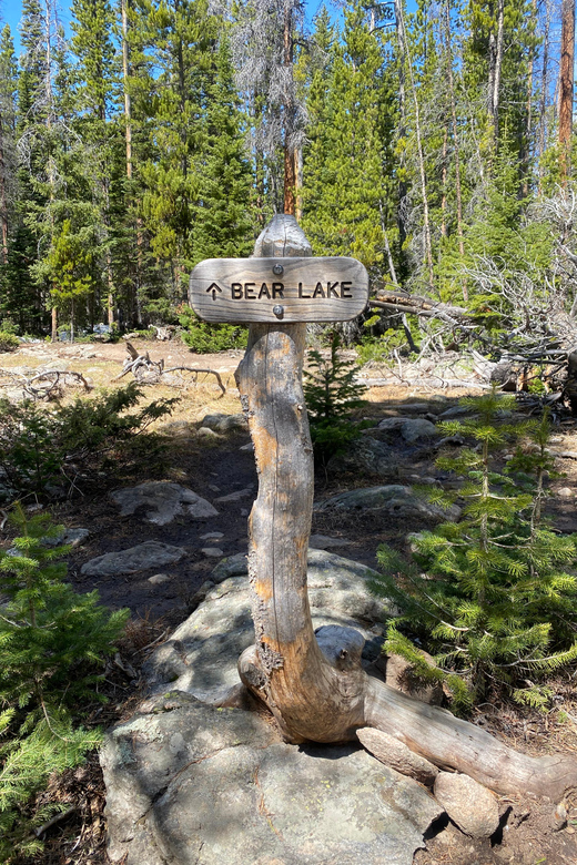 Rocky Mountain National Park Half Day Hike - Safety Considerations