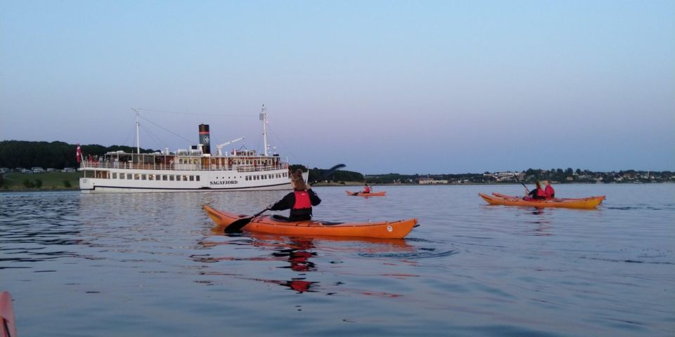 Roskilde: Guided Kayaking on Roskilde Fjord: Sunday Afternoon - Scenic Highlights