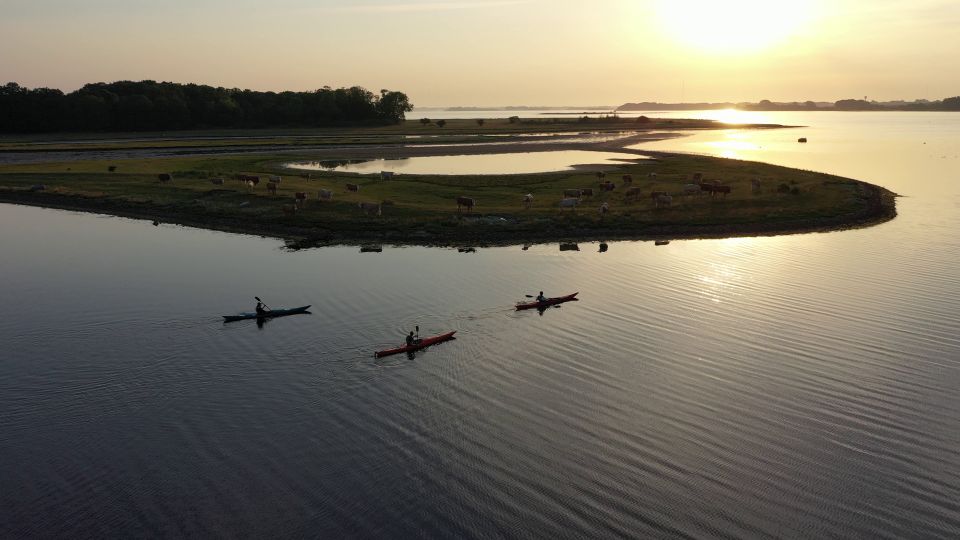 Roskilde: Guided Kayaking on Roskilde Fjord: Sunset Tour - Pricing Details