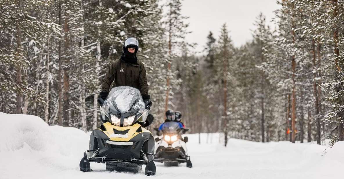 Rovaniemi: Arctic Circle Family-Friendly Snowmobile Tour - Experience Highlights