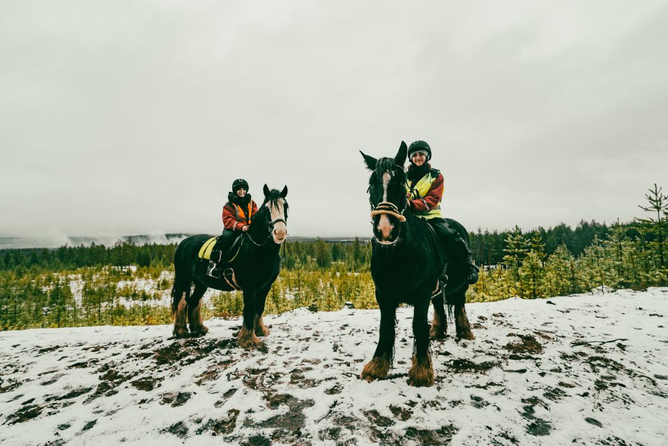 Rovaniemi: Arctic Horse Riding Experience - Experience Highlights