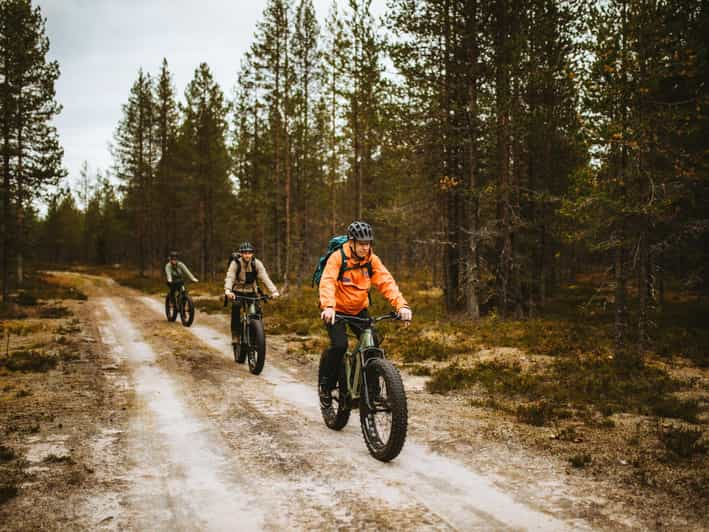 Rovaniemi: Arctic Wilderness & Forests Guided E-Bike Tour - Experience Highlights