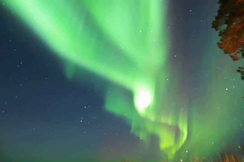 Rovaniemi: Aurora Borealis Trip – Autumn - Experience and Itinerary