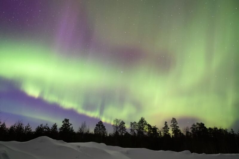 Rovaniemi: Aurora Hunting Tour - Booking Your Experience