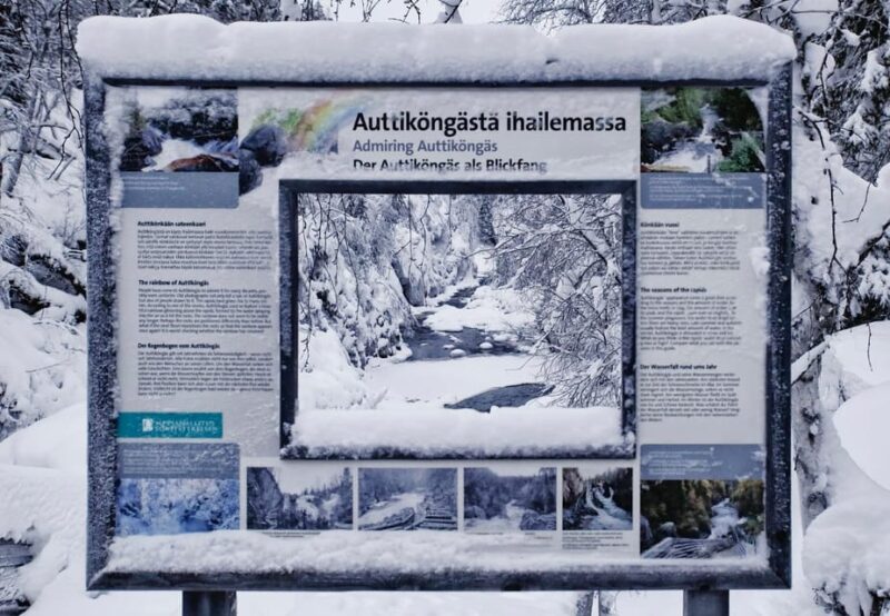 Rovaniemi: Auttiköngäs Winter Wilderness Hike & BBQ - Group Size and Personalization
