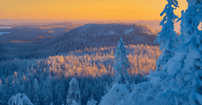 Rovaniemi: Auttiköngäs Winter Wilderness Hike & BBQ - Trail Features and Scenery