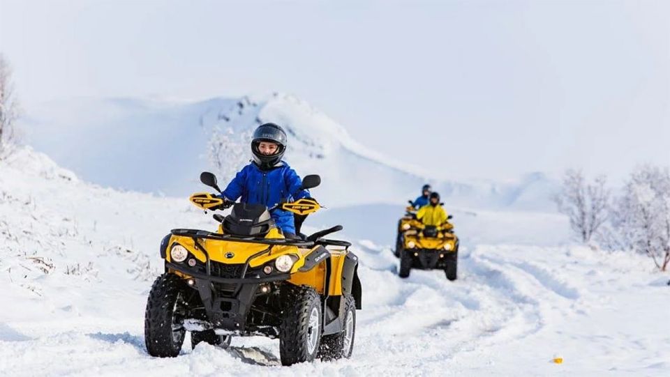 Rovaniemi: Delightful Quad Bike Ride in the Arctic Circle - Pricing Details