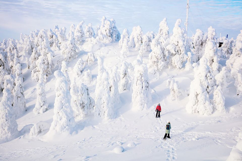 Rovaniemi: Hiking and Snowshoeing Adventure in Lapland - Booking Your Experience