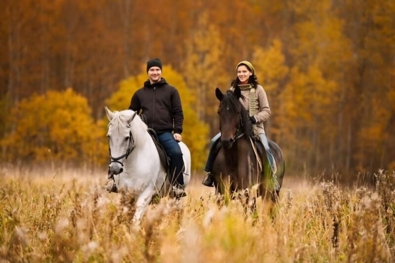 Rovaniemi: Horse Riding in Arctic Wilderness - Pricing and Duration Details