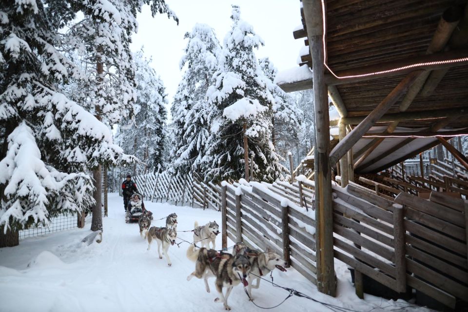 Rovaniemi: Husky and Reindeer Farm Visit With Sleigh Rides - Itinerary Highlights