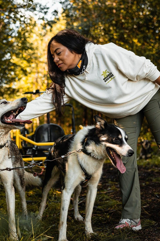 Rovaniemi: Husky Safari on Wheels - Booking and Cancellation