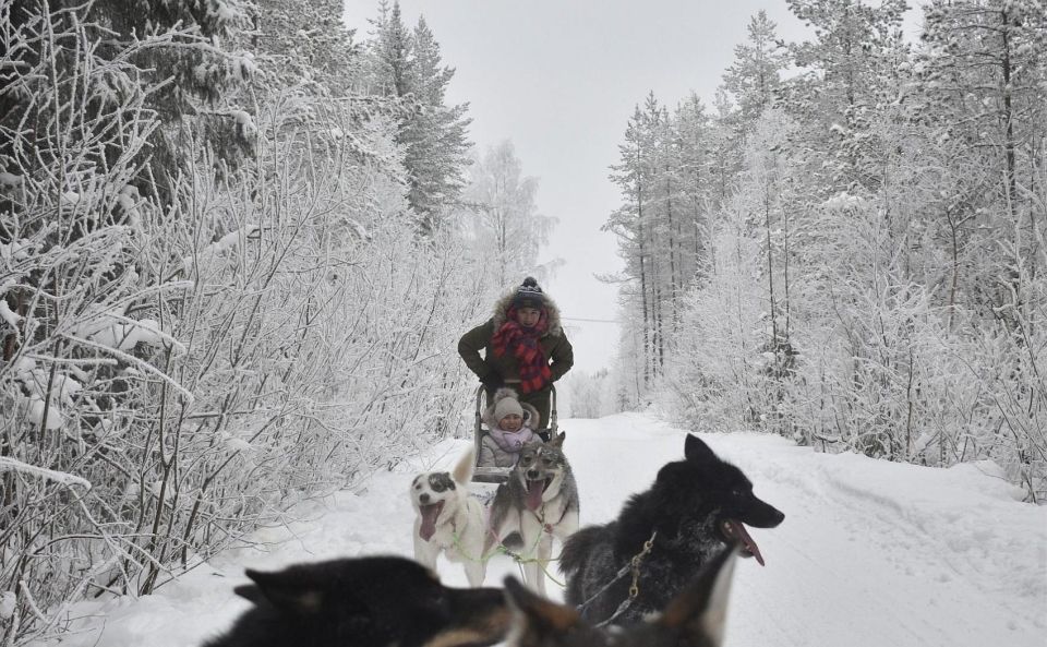 Rovaniemi: Husky Safari Tour & 6-10 Km Self-Driving Mushing - Experience Highlights