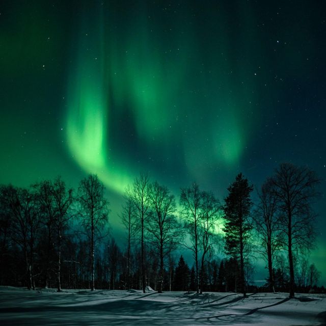 Rovaniemi: Northern Lights Hunt With a Photographer - Experience Highlights