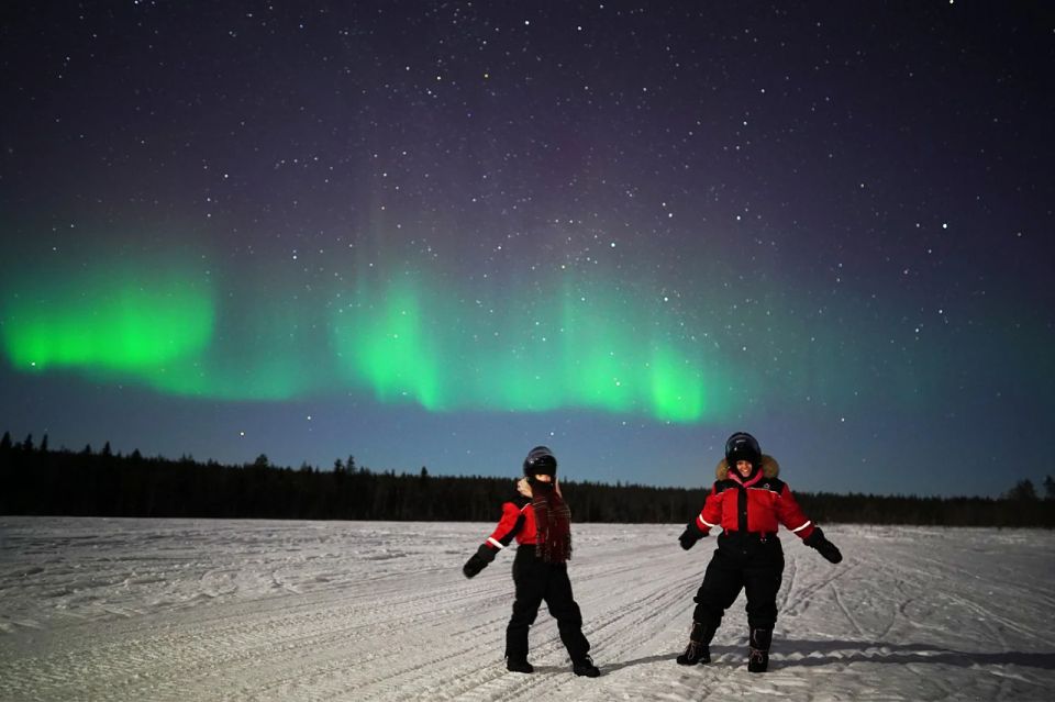 Rovaniemi: Northern Lights Sleigh Ride - Highlights of the Adventure